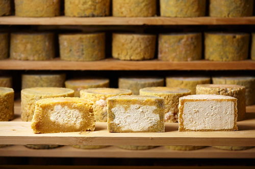 Sauermilchkäse