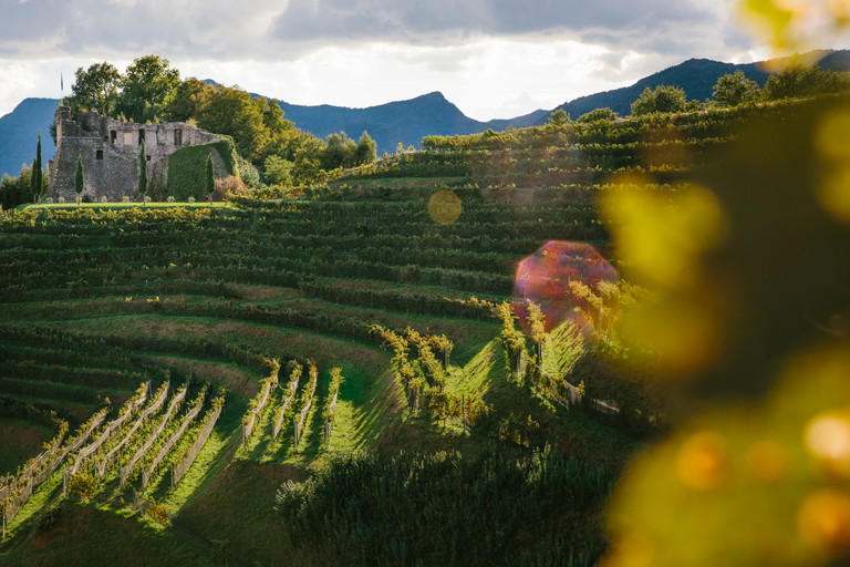 Das Castello di Morcote.