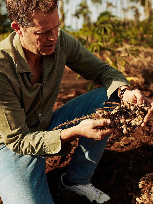 Tim Warrillow (CEO Fever-Tree) auf einer Ingwerfarm im Indischen Cochin.