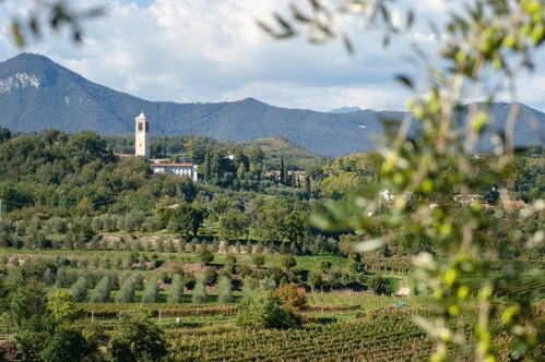 Es gibt keine Region in Italien, in der keine Oliven wachsen. Im Bild die Manufaktur von Gianfranco Comincioli, dessen Spitzenprodukte am Gardasee entstehen.