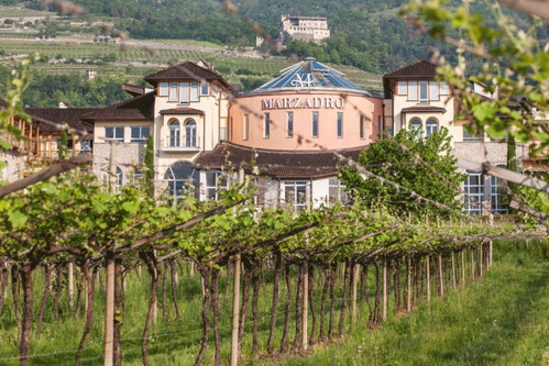 Das Haus Marzadro zählt zu den führenden Grappa-Produzenten. Sein bekanntestes Produkt ist der Le Diciotto Lune aus bestem Trentiner Trester. 