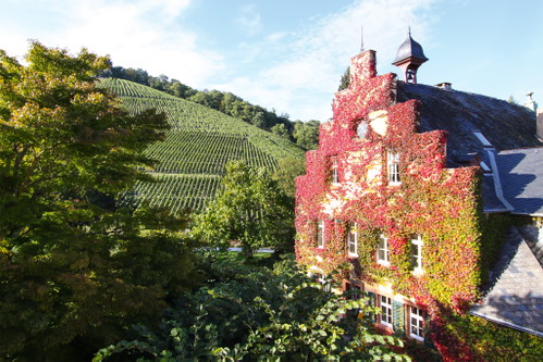 Legendäres Weingut am Mosel-Nebenfluss Ruwer: Maximin Grünhaus, seit 1882 im Besitz der Familie von Schubert.