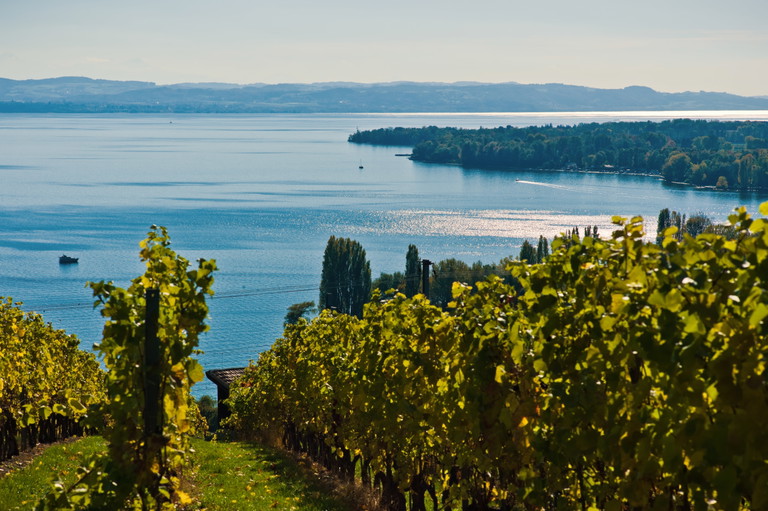 In der Region Neuenburg entstehen heute einige der spannendsten Pinots Noirs des ganzen Landes. 