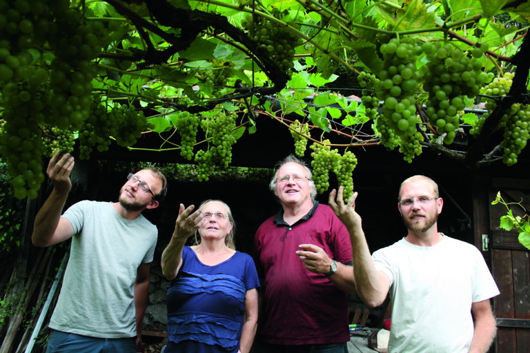 Beim Weingut Bosshart + Grimm hat man jahrzehntelange Erfahrung mit den neuen Piwi-Sorten. Ihr Souvignier Gris hat der Jury hervorragend gemundet.