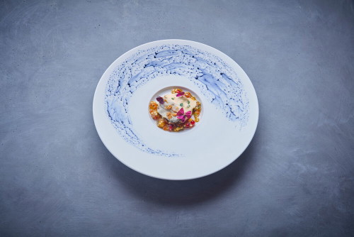 Tarbouriech Auster, Hühnerklein, Austernespuma, Zwiebel, Ei-Vinaigrette.