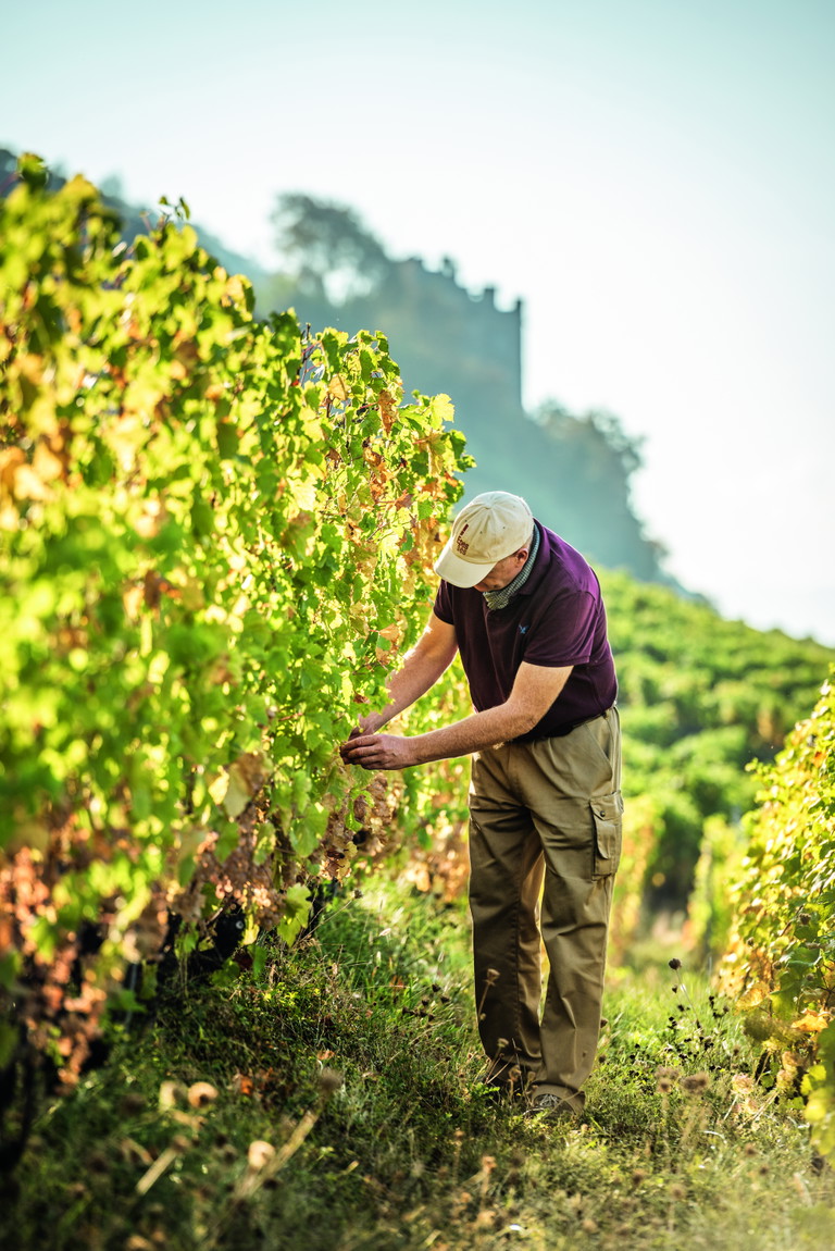Blaise Duboux gehört zu den Bio-Pionieren im Lavaux. Sein Chasselas Haut de Pierre aus dem schwierigen Jahr 2021 ist herausragend.  