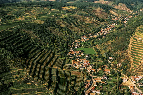 Ried Lammberg in Straß im Straßertale.