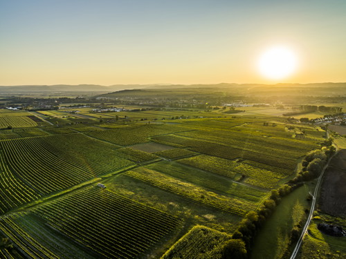 Ried Galgenberg nördlich von Walkersdorf.