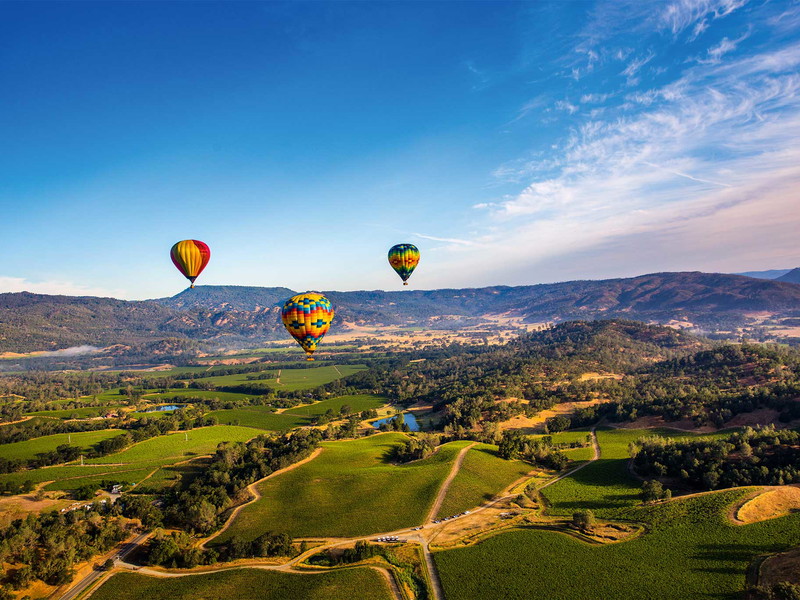 Eine Fahrt über das Rebenmeer in Napa Valley ist ein unvergessliches Erlebnis.