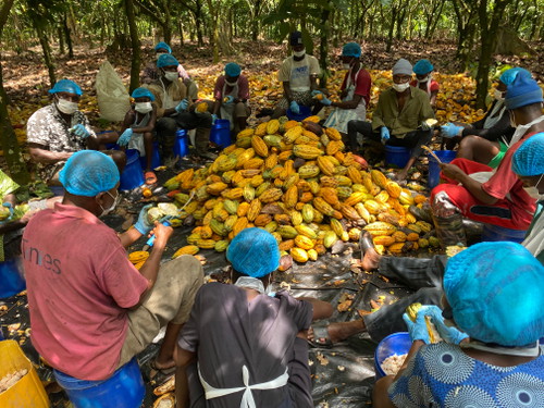 Kakaobauern aus Ghana, die den Lieferanten Koa mit Kakaofrüchten beliefern. Daraus macht vomFass dann seinen leckern Kakaofrucht Balsam-Essig.
 