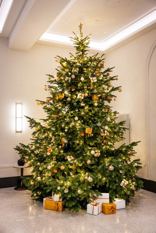 Der prächtige Weihnachtsbaum.