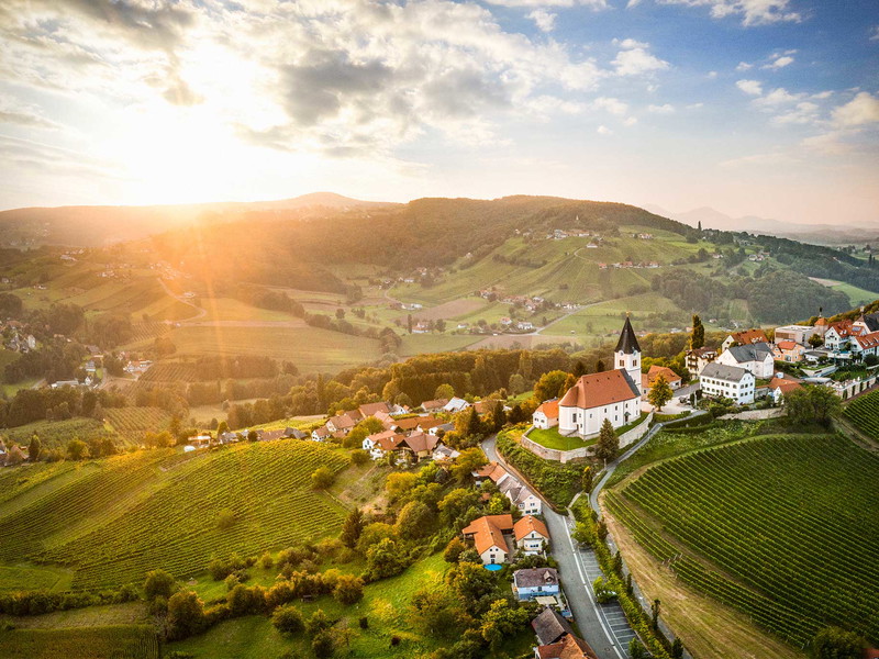 Die sanften Hügel bei St. Anna am Aigen im Vulkanland Steiermark bieten ausgezeichnete Standorte für die weißen Burgundersorten.