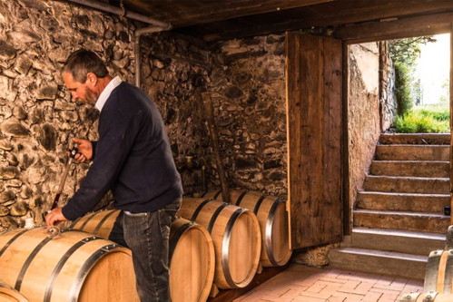 Bohlinger Galgenberg am Bodensee: Wenn die Herbstnebel kommen, hat Hans Rebholz den Grauburgunder bereits gelesen – und er reift im Keller.
