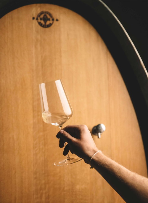 Das Weingut Sattlerhof.