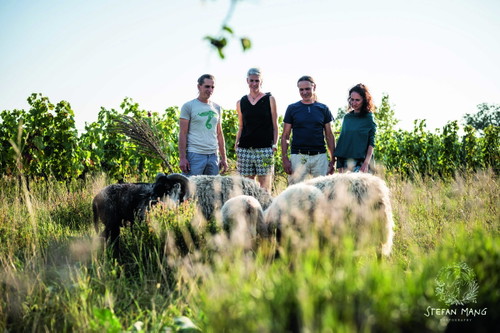 Gleicher Nachname, anderes Weingut: Gerhard, Stephanie, Herbert  und Claudia Triebaumer vom Weingut Ernst Triebaumer setzen auf tierische Helfer im Weingarten.