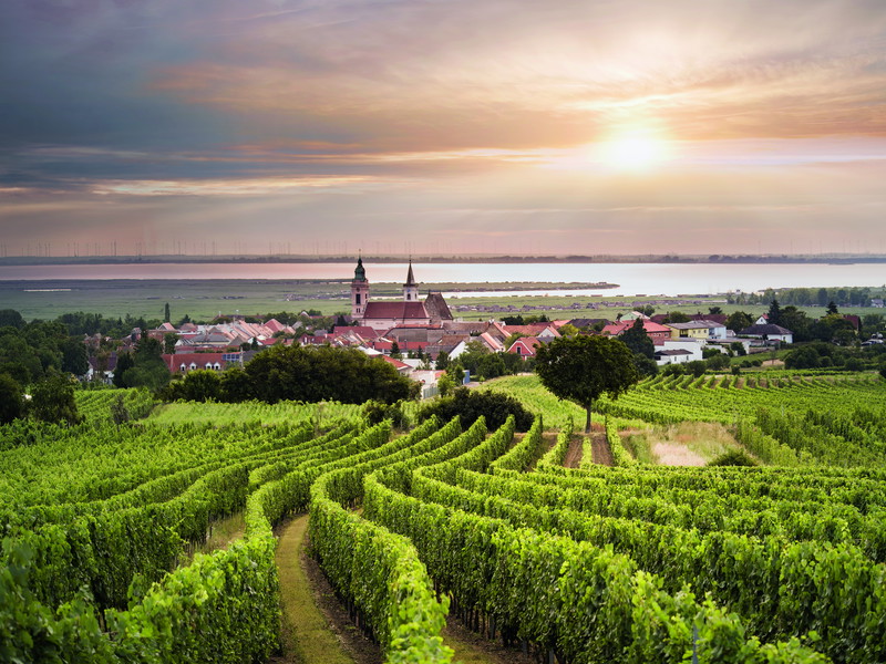 Blick von der Ried Plachen über die Freistadt Rust am Neusiedler See.