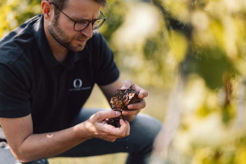 Weingut Schloss Ortenberg: Betriebsleiter Matthias Wolf holt das Grauburgunder-GG aus der Lage »In der Steingrube«.
