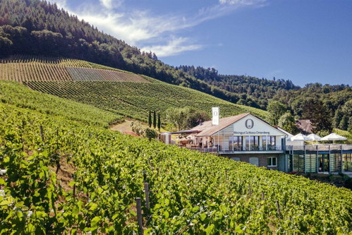 Weingut Schloss Ortenberg.