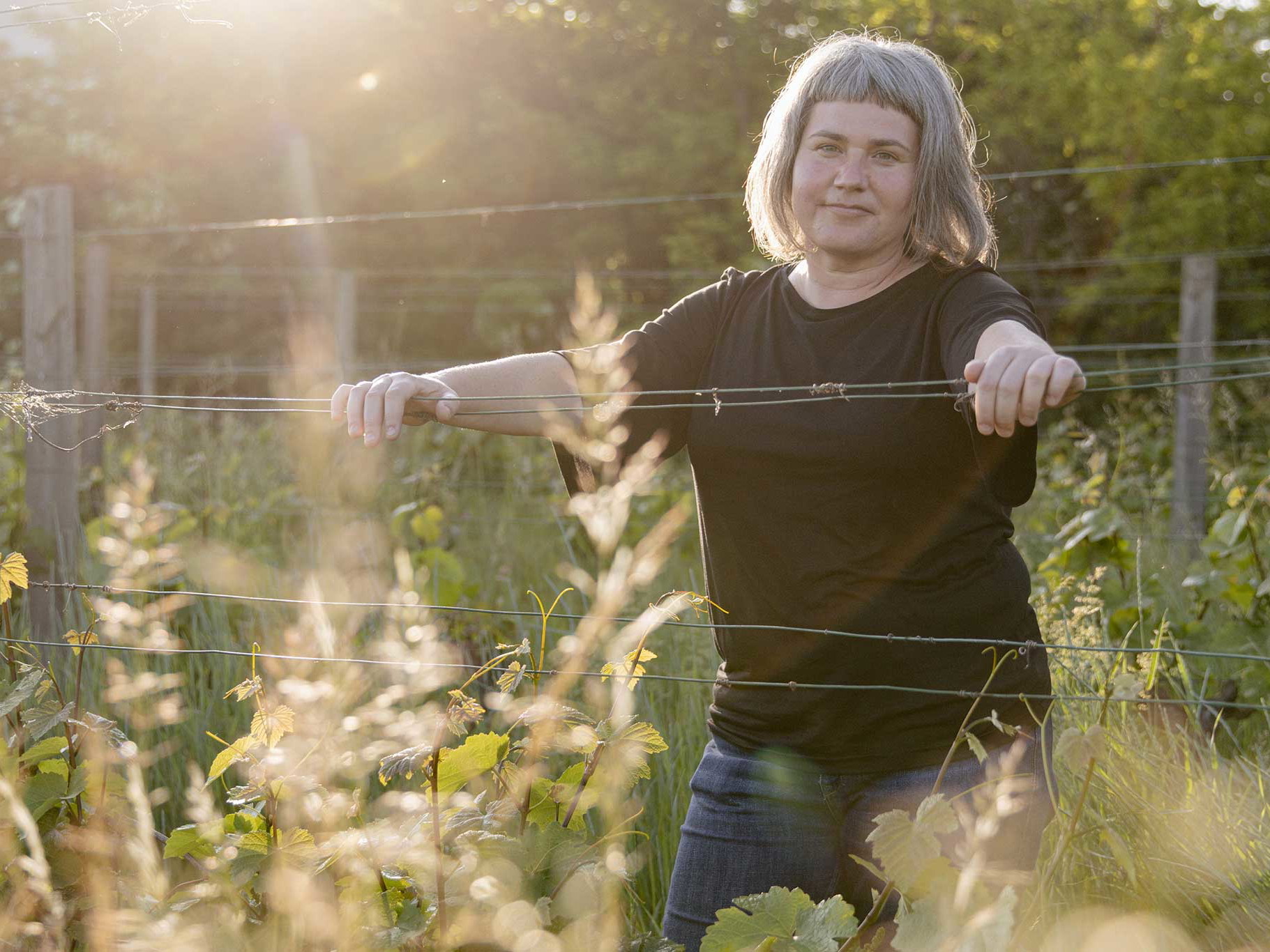 Bei den Weinen von Judith Beck stehen Natürlichkeit und Identität im Mittelpunkt. 