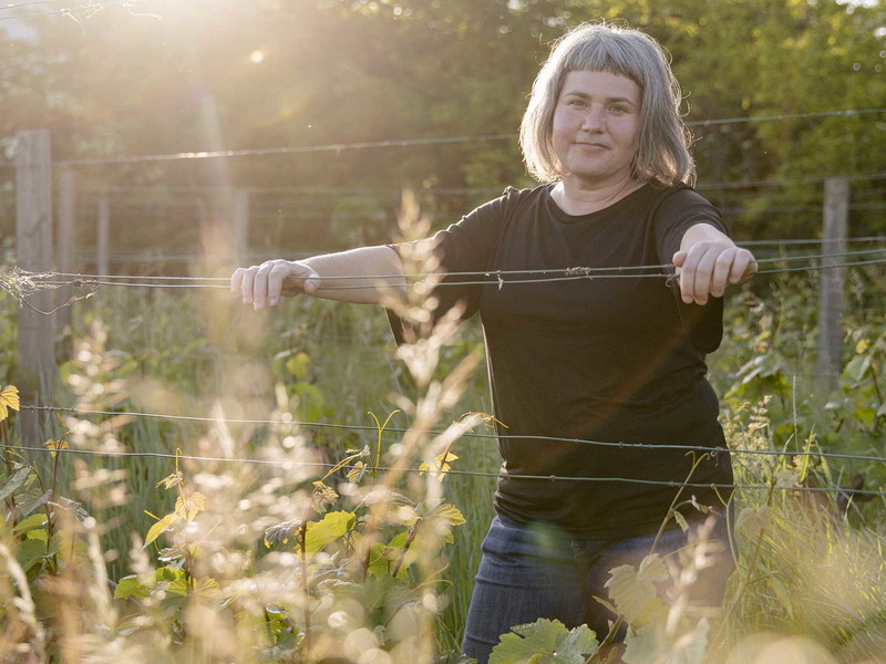 Bei den Weinen von Judith Beck stehen Natürlichkeit und Identität im Mittelpunkt. 