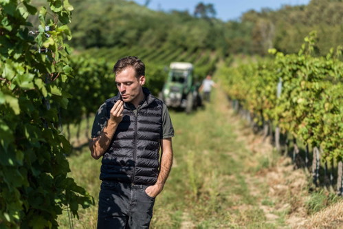 Das Weingut Liegenfeld ist einer der größten und wichtigsten Weißweinbetriebe des Burgenlands. 