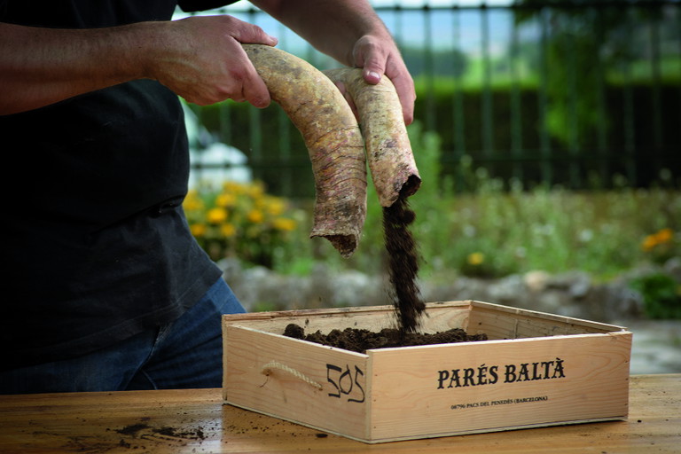 Top producers such as Gramona and Parés Baltà have relied on organic or biodynamic cultivation for several years – and this is evident in their wine quality.