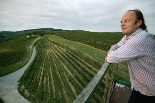 Die Weine von Roland Velich beweisen eindrucksvoll, dass Blaufränkisch zu den großen Rebsorten gehört.
