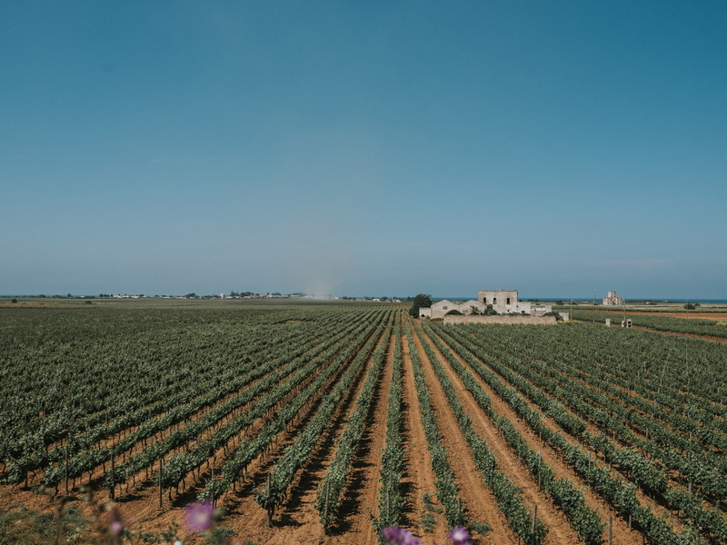 Tenuta Jaddico