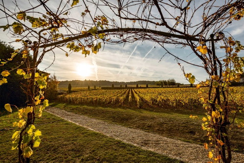 Das Weingut, gegründet im Jahr 1905, ist mit seinen Weingärten rund um das Chateau gerade einmal neun Hektar groß.