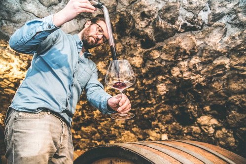 Blaufränkisch ist die Paradesorte am Weingut von Franz Weninger junior. Seine Weine gehören zu den besten Weinen des Landes. 