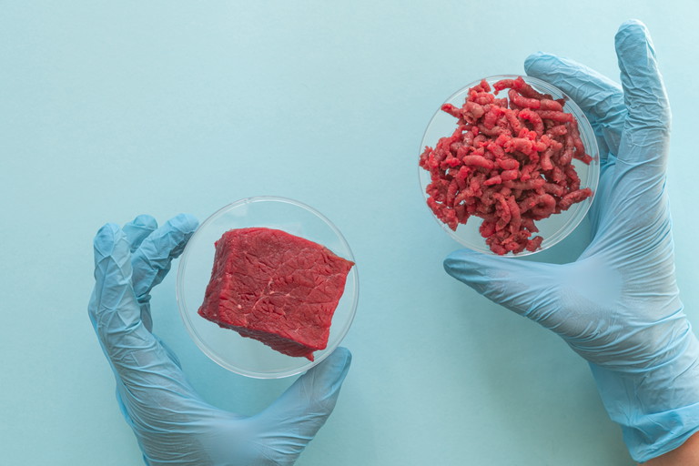 Ist Fleisch aus dem Labor die Zukunft?
