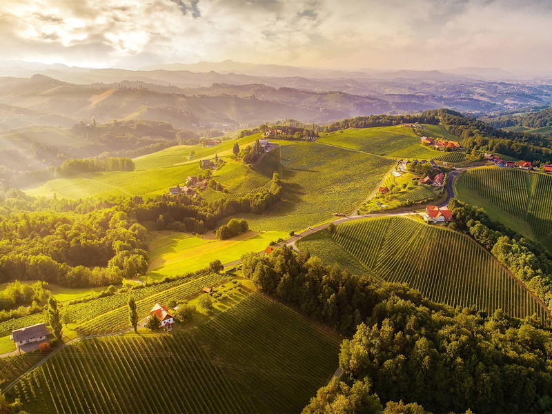 Die Südsteiermark an Österreichs Grenze zu Slowenien brachte 2024 finessenreiche Weißweine mit ausgeprägtem Sortencharakter hervor.