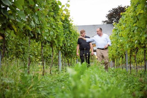 Weingut St. Urbans-Hof-Inhaber Nik Weis (re.) und Außenbetriebsleiter Nic Rück inspizieren die Reben.