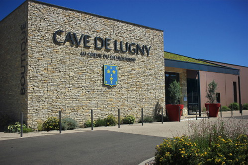Die Winzergenossenschaft Cave de Lugny.
