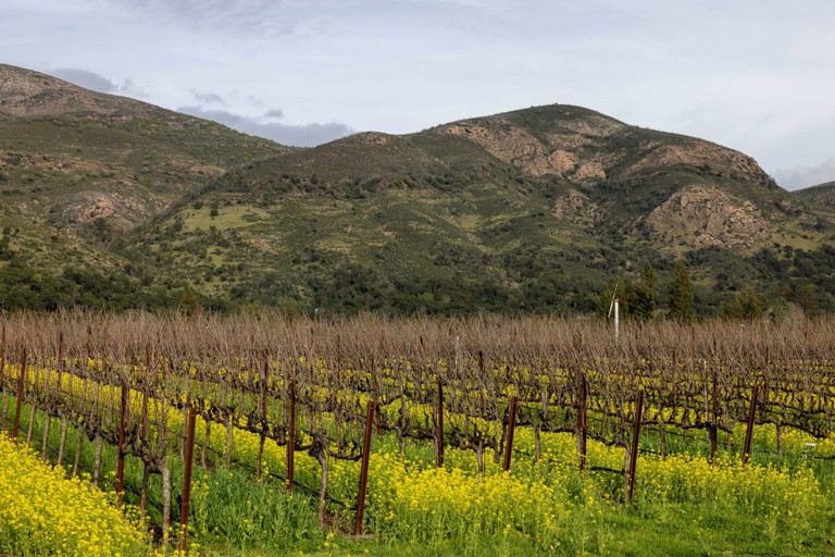 The Arcadia vineyard.