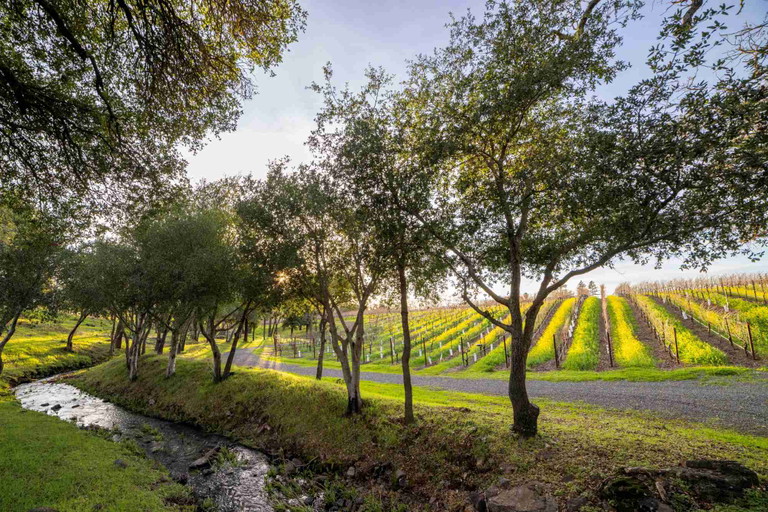 Arcadia vineyard