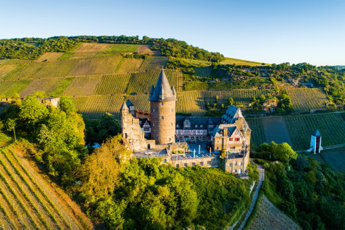 Die Burg Stahleck in Bacharach, Oberes Mittelrheintal, steht inmitten von Weinbergen.