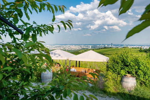Das Weingut Wailand bietet feine Weine und den schönsten Ausblick auf Wien.