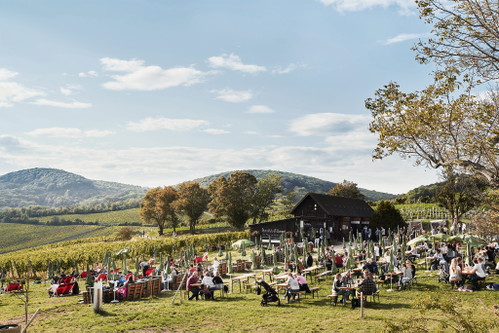 Der »Mayer am Pfarrplatz« ist ein legendärer Heuriger in Heiligenstadt, auch das Pop-up in den Weingärten lockt die Weinfreunde in Scharen an.