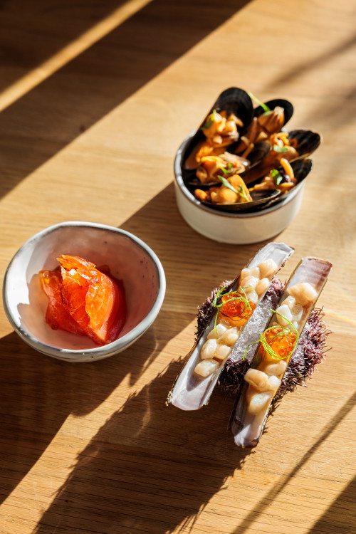 Schwertmuscheln, färöischer Lachs und Miesmuscheln in Escabèche.