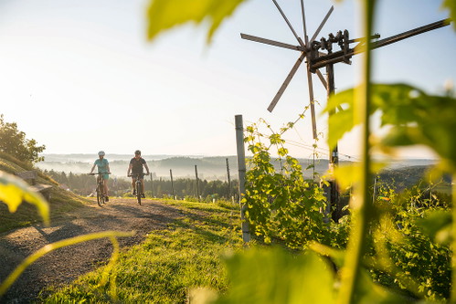 Ob zu Fuß oder mit dem Rad, die abwechslungsreiche Weinlandschaft bietet neben besten Weinen auch Erholung pu