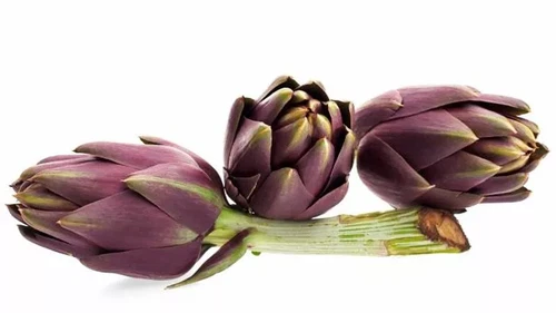 Carciofo spinoso di Sardegna Dop