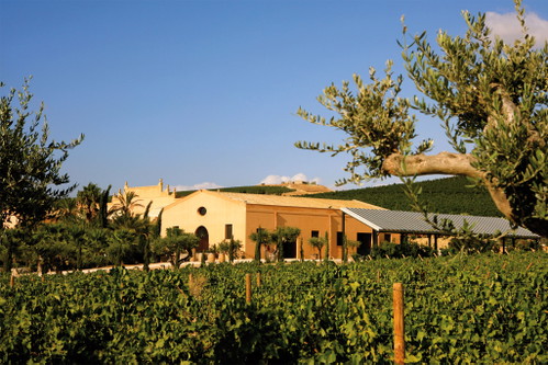 Donnafugata, geleitet von den Geschwistern José und Antonio Rallo, zählt zu den Leitbetrieben der Region. 