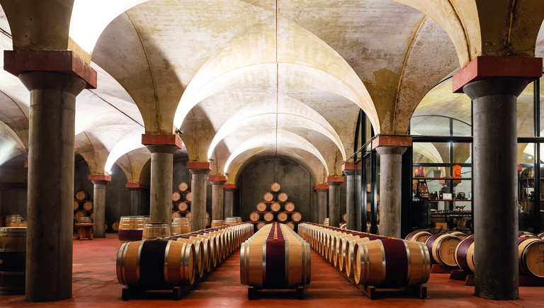 Entgegen dem internationalen Trend ist die Rotweinfläche in der Schweiz in den letzten Jahrzehnten gestiegen. Am stärksten gewachsen ist die Cabernet-Sauvignon-Fläche. 