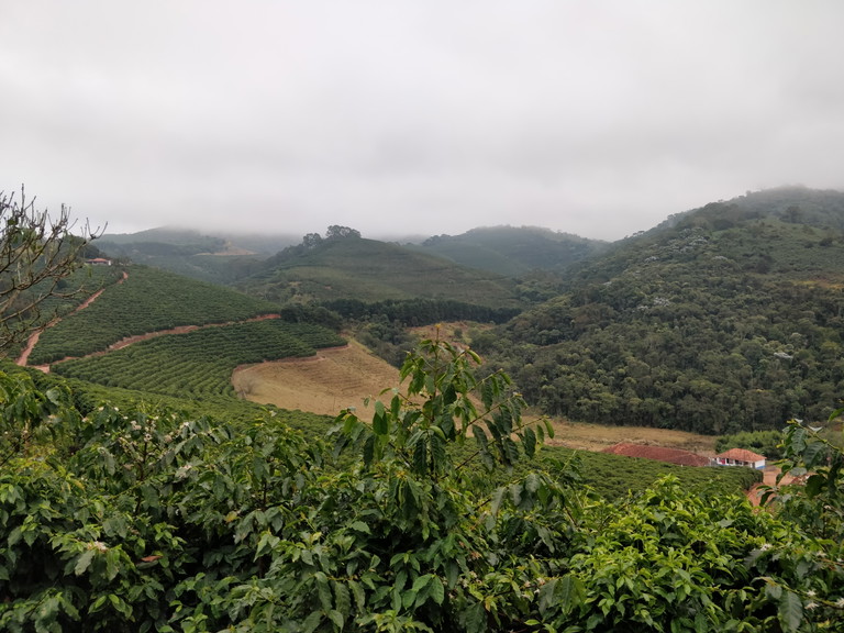 Mantiqueira de Minas, situata nello Stato di Minas Gerais, in Brasile