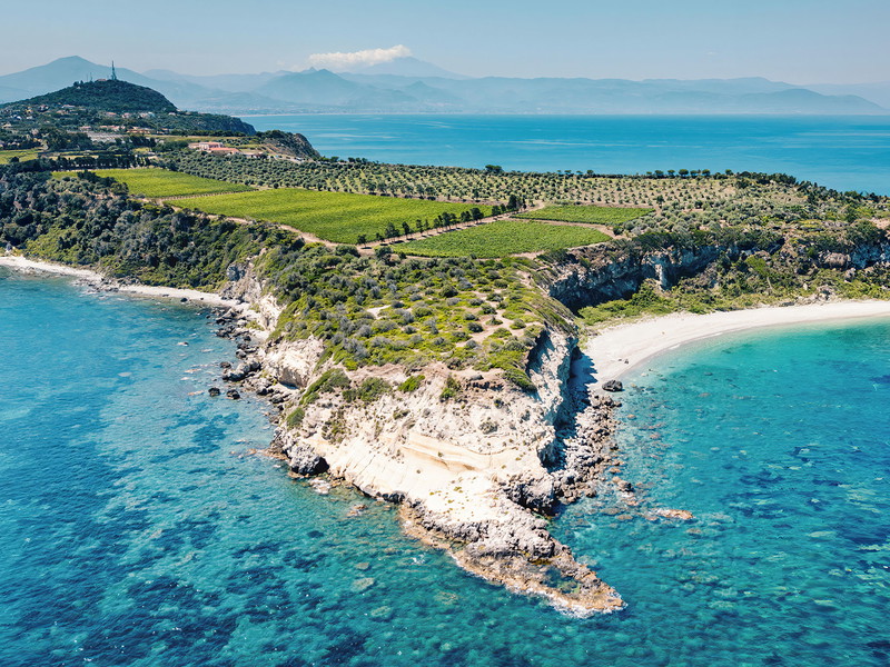 Ein Teil der Planeta-Reben stehen auf der Halbinsel Capo Milazzo.