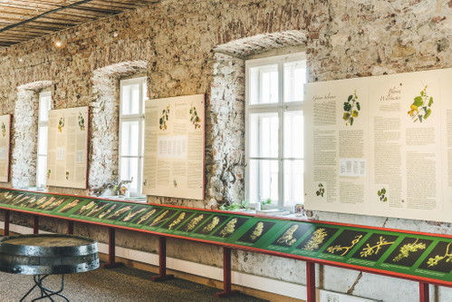 Das Weinmuseum im
Schloss Gamlitz vermittelt
Wissenswertes über die
Steirische Weinkultur.