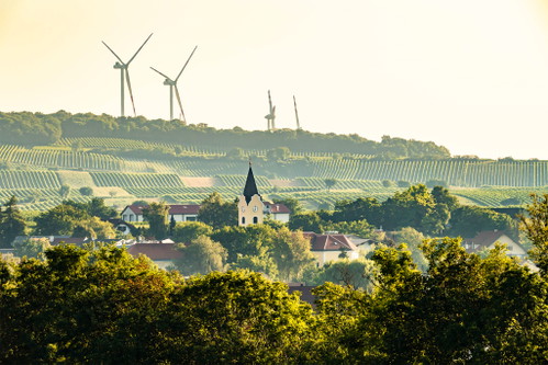 Auch in Carnuntum entstehen feine St.-Laurent-Weine, wie die Alten Reben von Philipp Grassl oder Walter Glatzer zeigen.