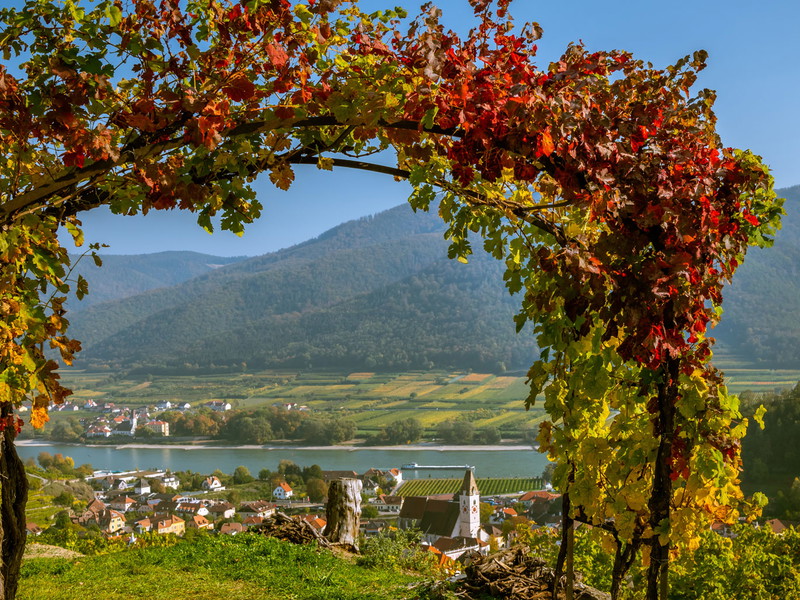 Romantik pur in der Wachau