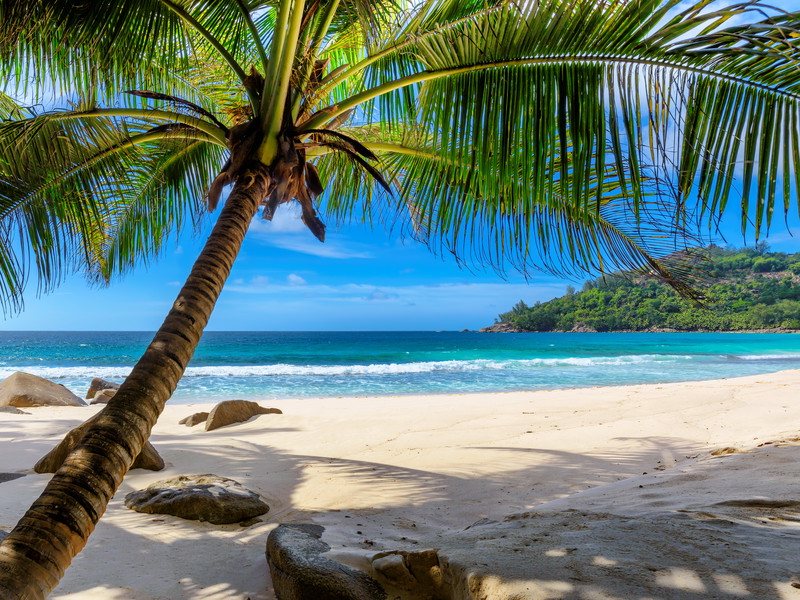 Traumhafte Strandlandschaft auf Barbados.